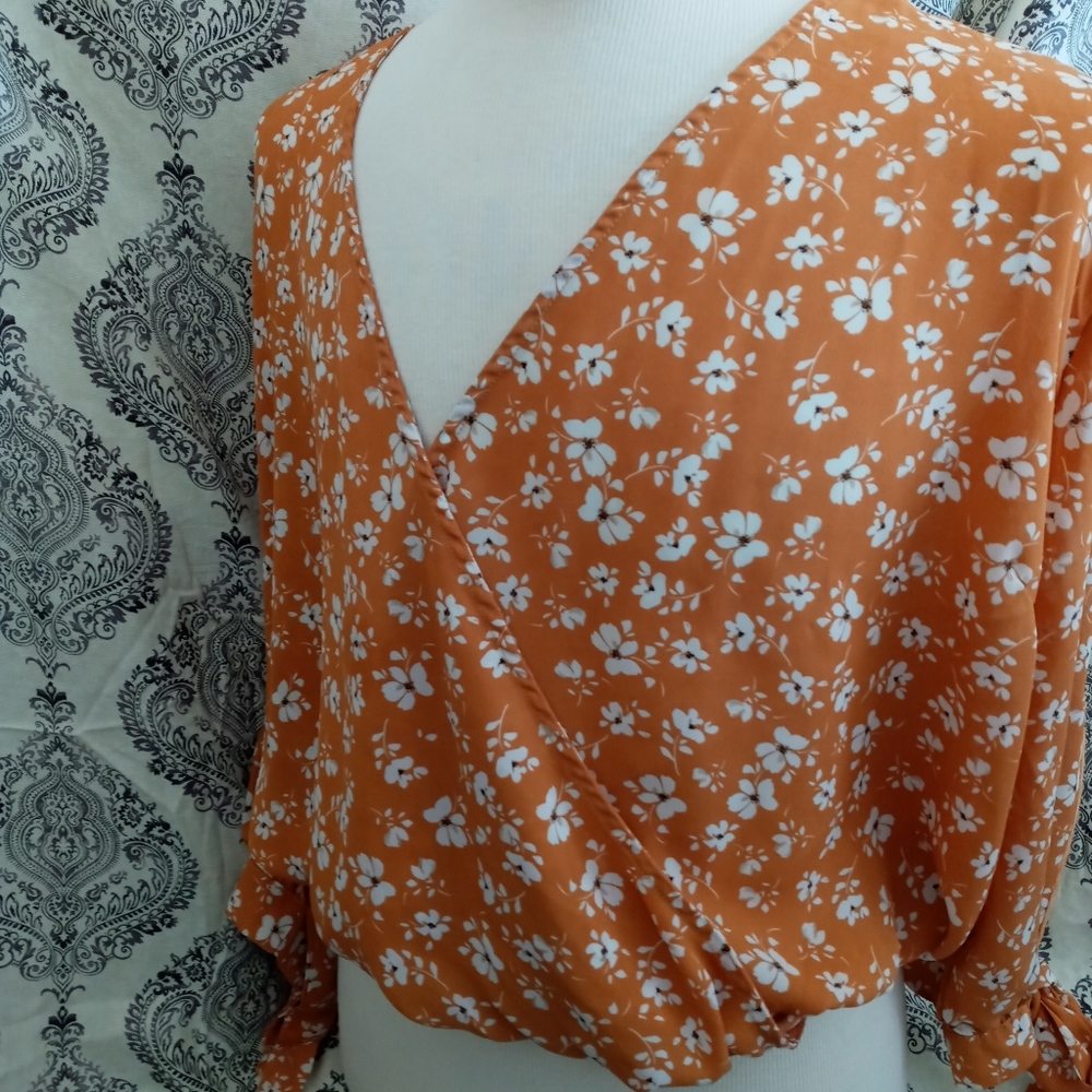 Long Sleeve Crop Top